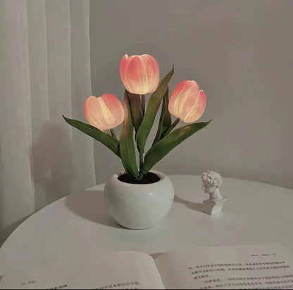 Tulip Lamp Night Light Solus™