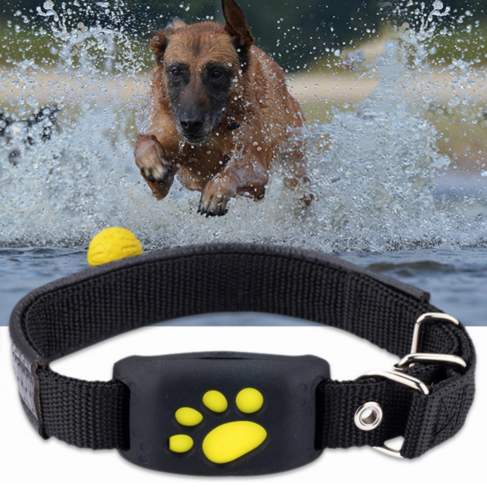 Universal Pet GPS Tracker Collar Ecom brands